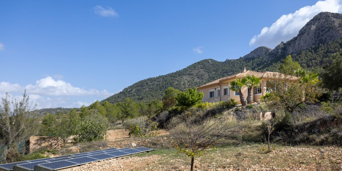 1141200_699d5b5522a07