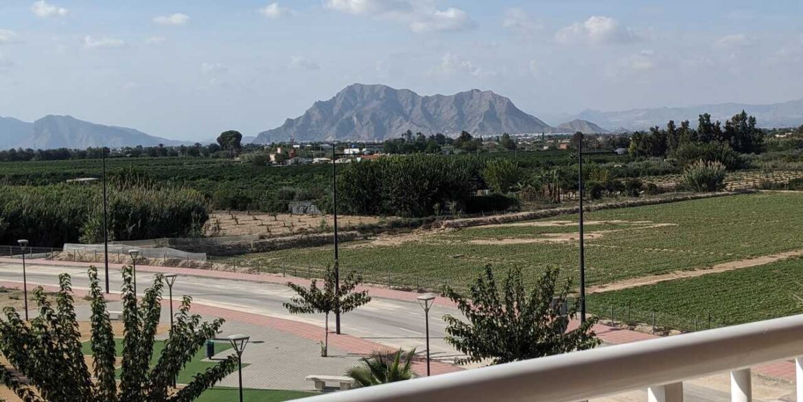 159401-apartment-for-sale-in-algorfa-31012638-large