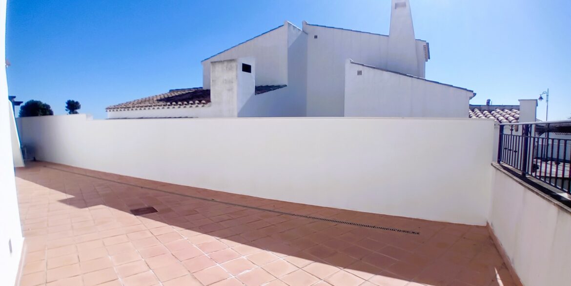 20260225_114605-scaled