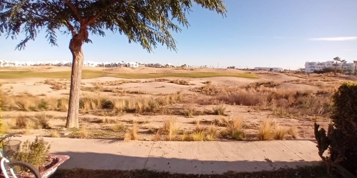 WhatsApp-Image-2025-12-15-at-16.33.17-1