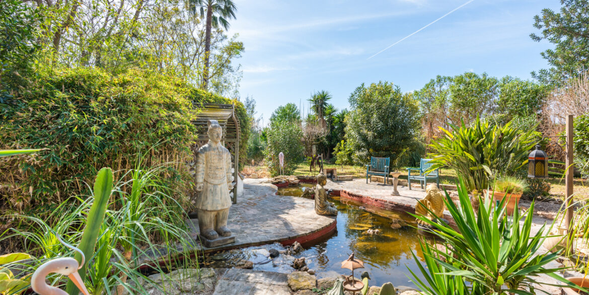 country-house-daya-nueva-03159-49