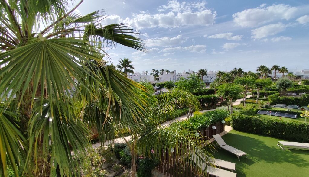 full_1456031_64615297