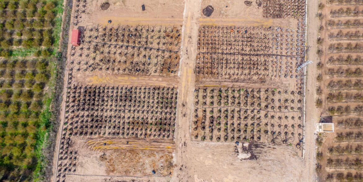 o_1jjrq68q31blmei6q197f01fsk3q