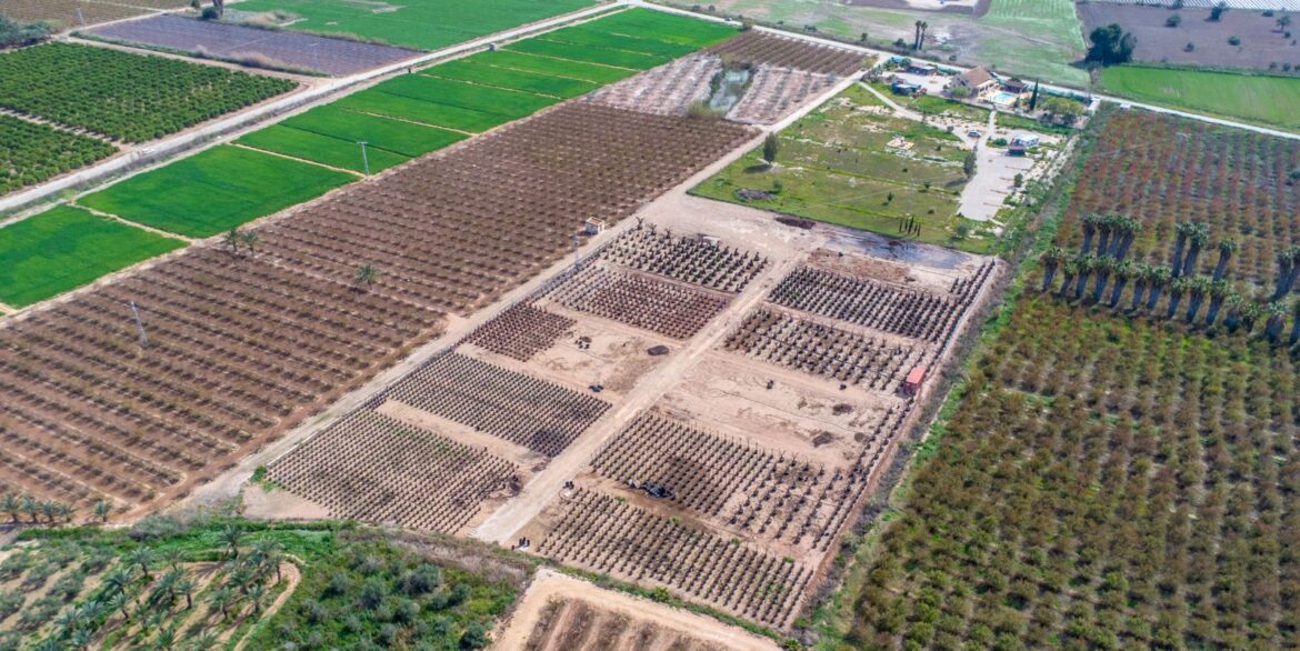 o_1jjrq68q31kk31ndelejlao15re3i