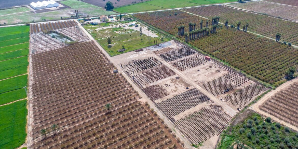 o_1jjrq68q3fld1hg17q31llg32p3h