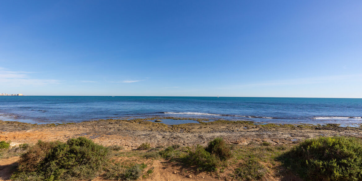 Posidonia y panorama mar
