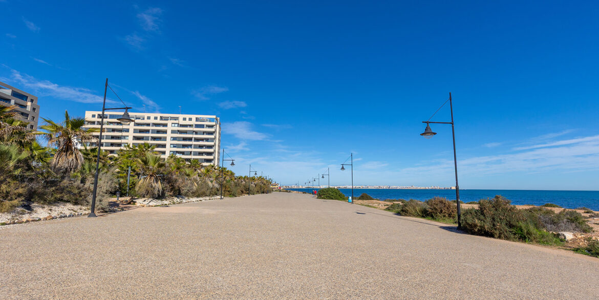 Posidonia y panorama mar