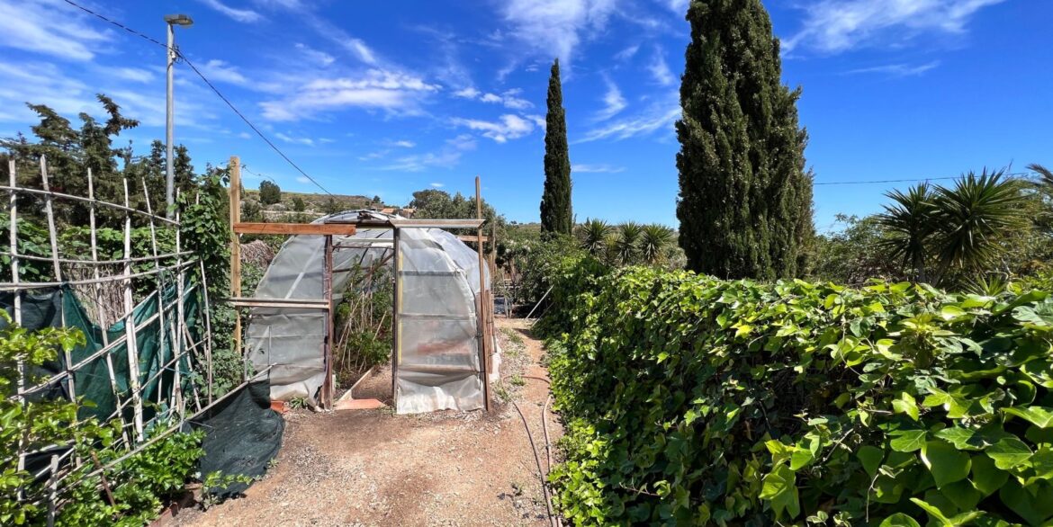 962750_699d5b48278a5