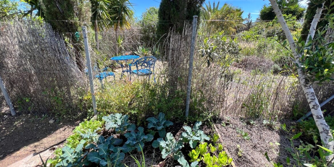 962752_699d5b379c20f