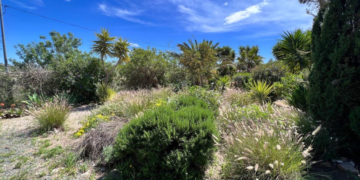 962753_699d5bf32b948