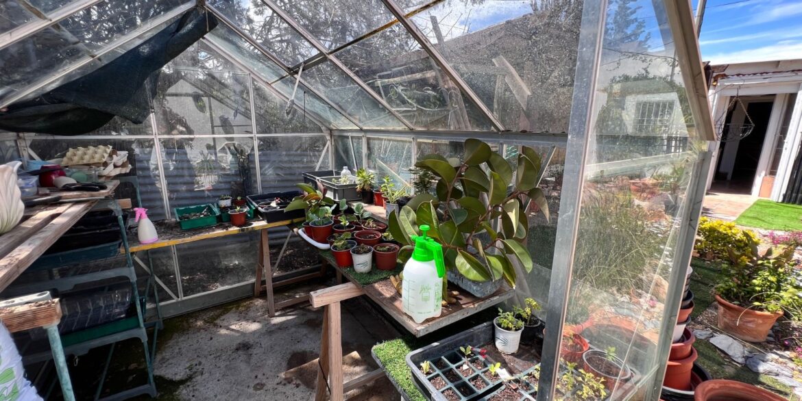 962763_699d5b6c7acd0