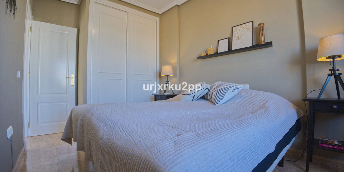 ShowFeedImage
