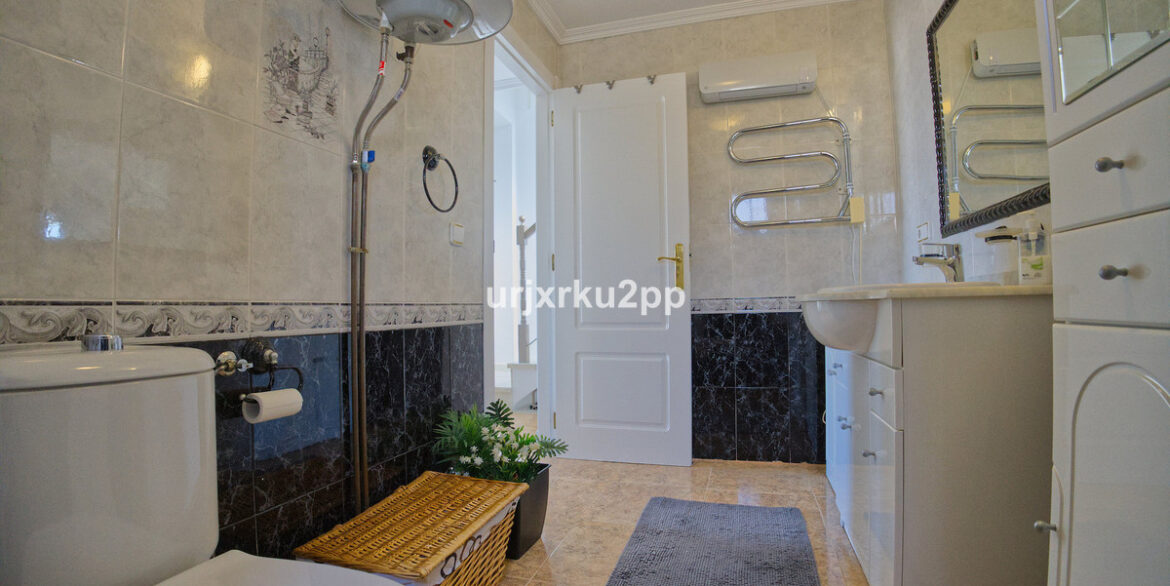 ShowFeedImage