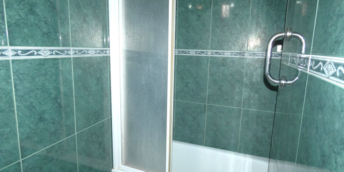 ShowFeedImage