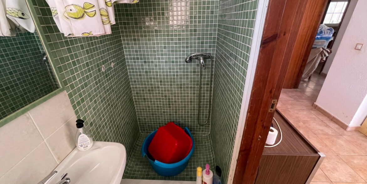 ShowFeedImage