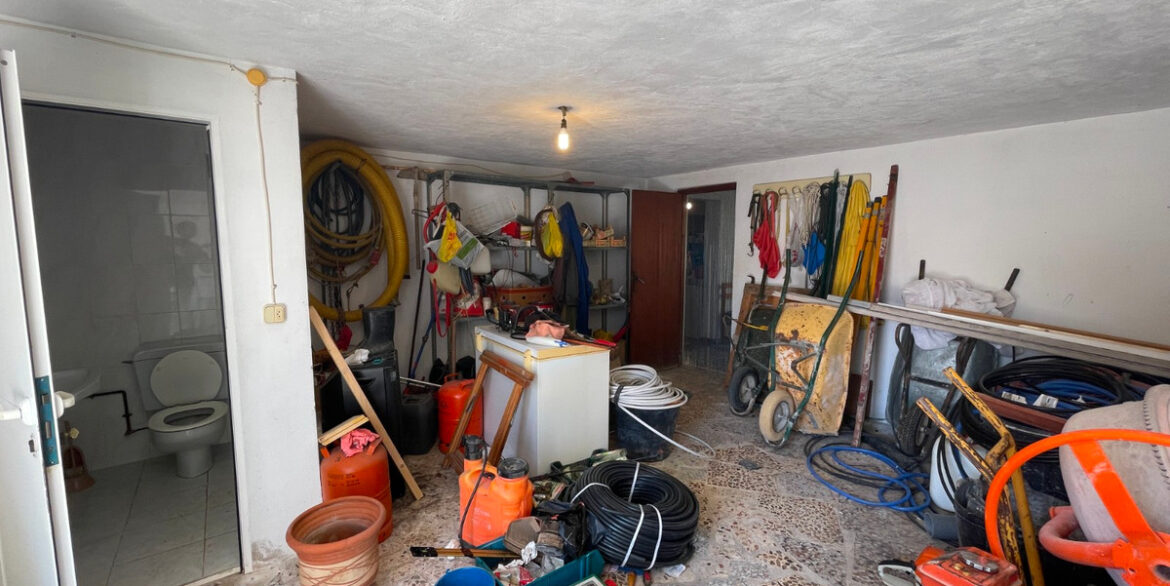 ShowFeedImage