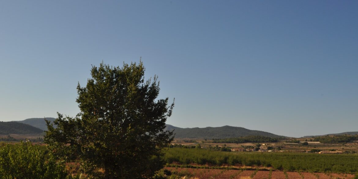 d69748a4fa48a169748a4fa4924