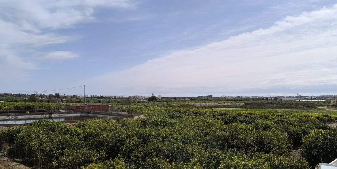 d69c257283a4dd69c257283a529