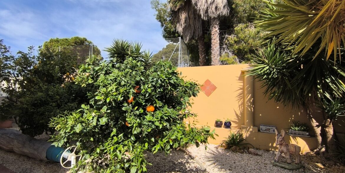 d69df20485919969df2048591de