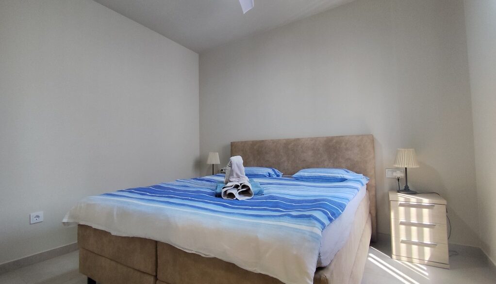 full_1536789_66469496