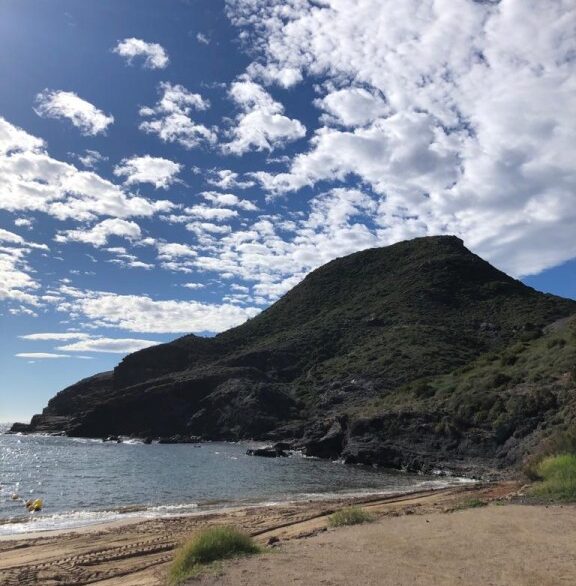 full_1536789_66469523