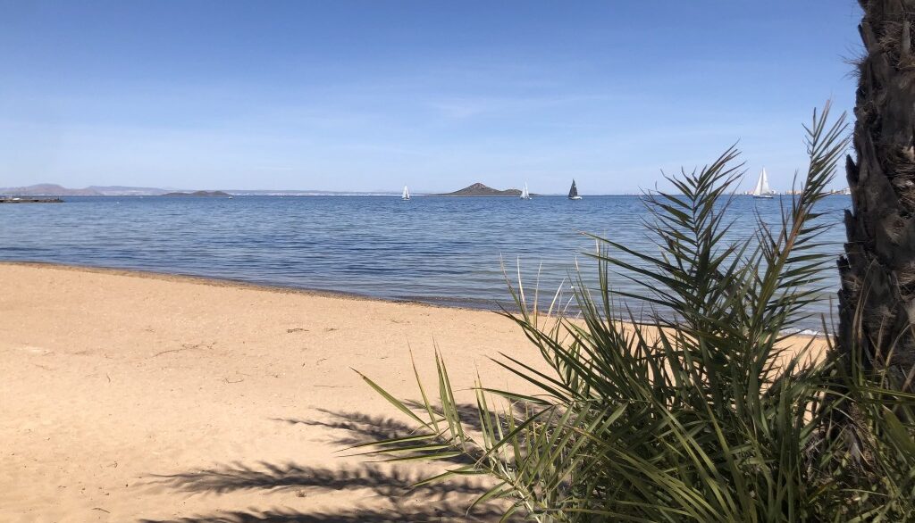 full_1536789_66469527