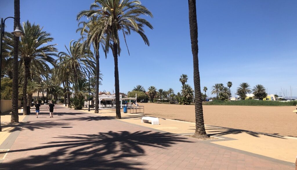 full_1536789_66469529