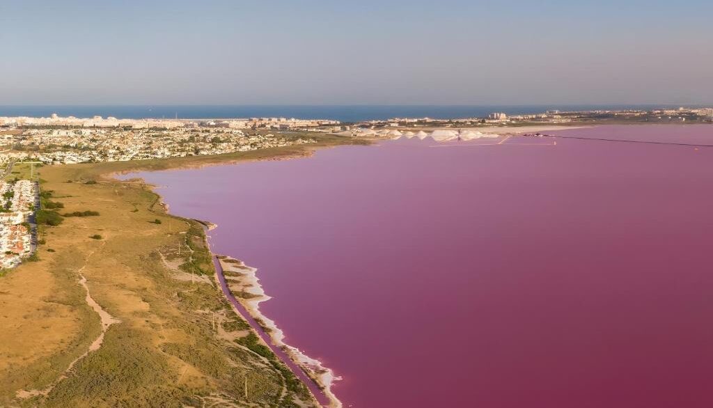 o_1jm0em6mb121h1bd8k13pi1th72q