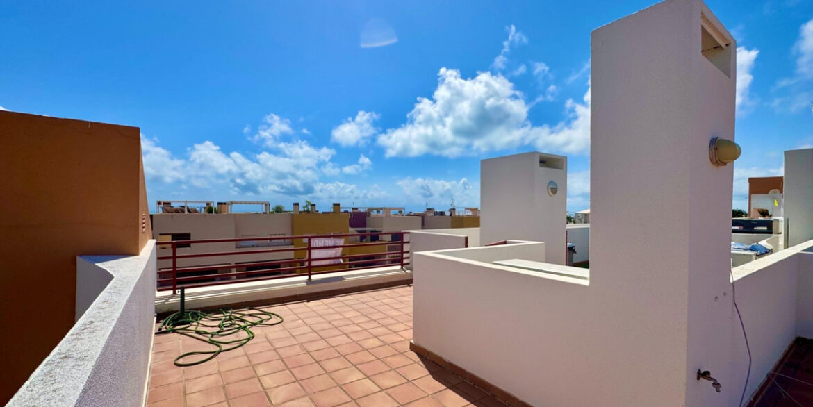 ShowFeedImage