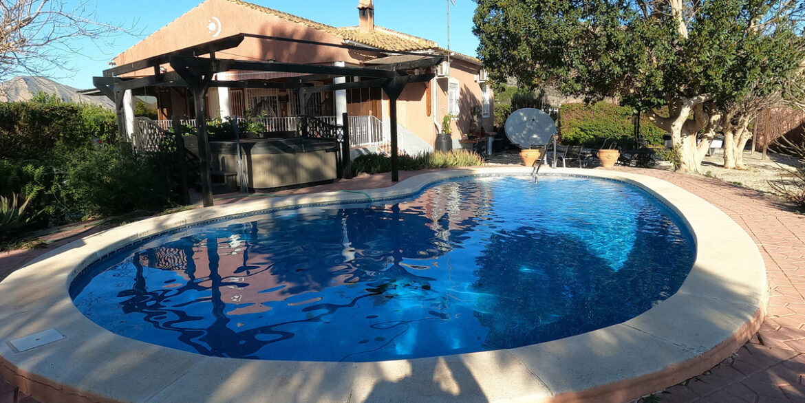 ShowFeedImage
