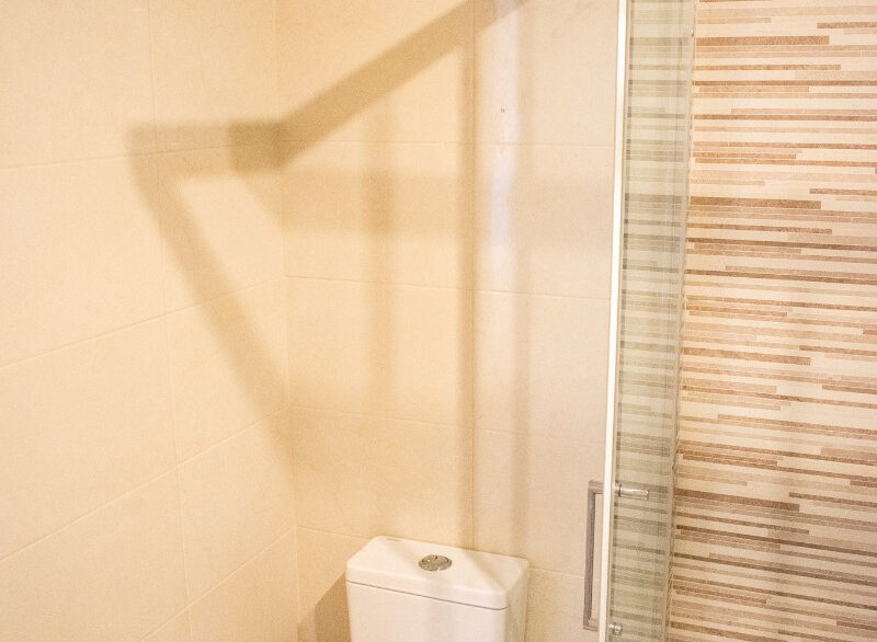 ShowFeedImage