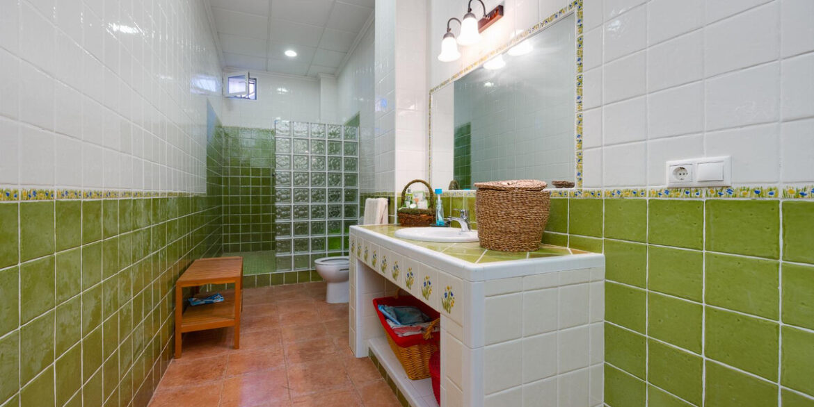 ShowFeedImage