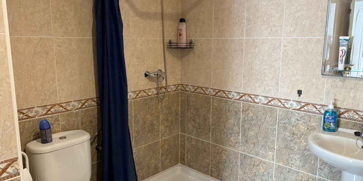 ShowFeedImage
