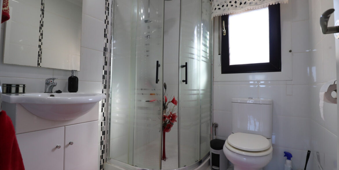 ShowFeedImage