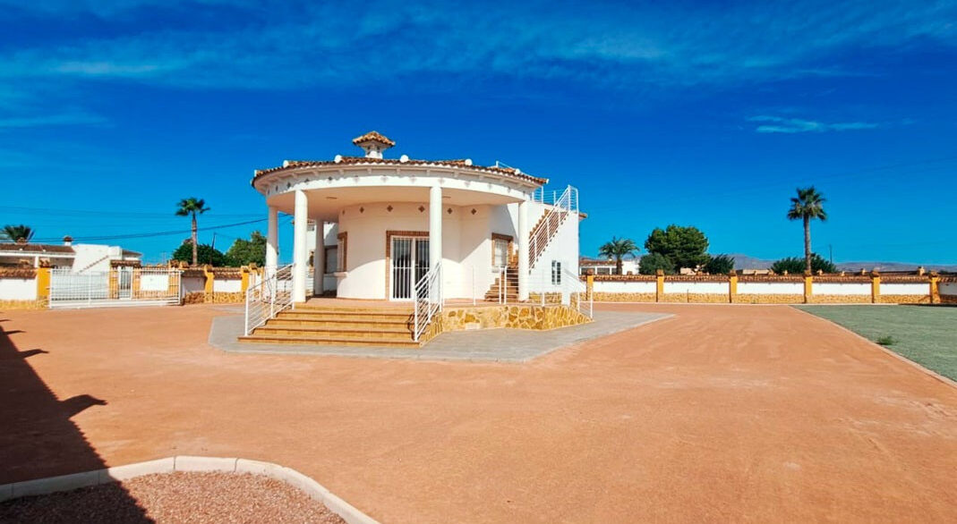 ShowFeedImage