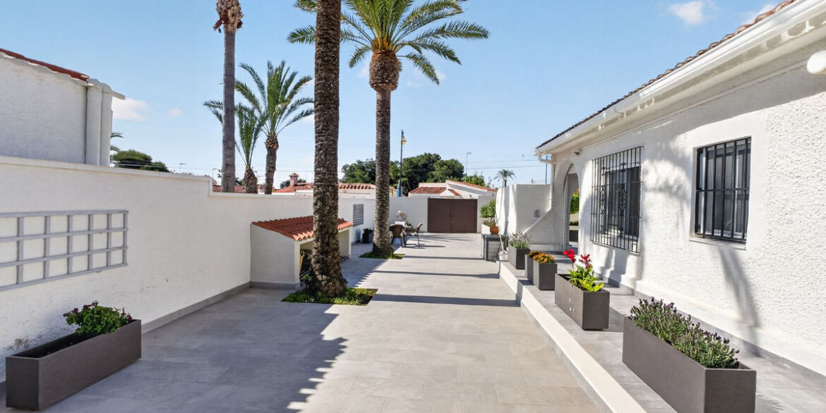ShowFeedImage