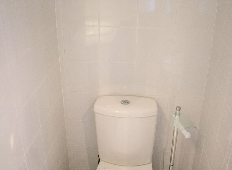 ShowFeedImage