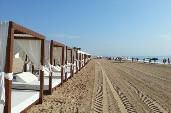 z - Area (3)